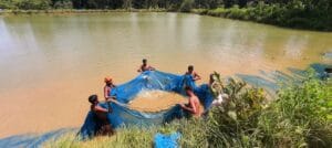 1726052755 5289e773223f6be93841