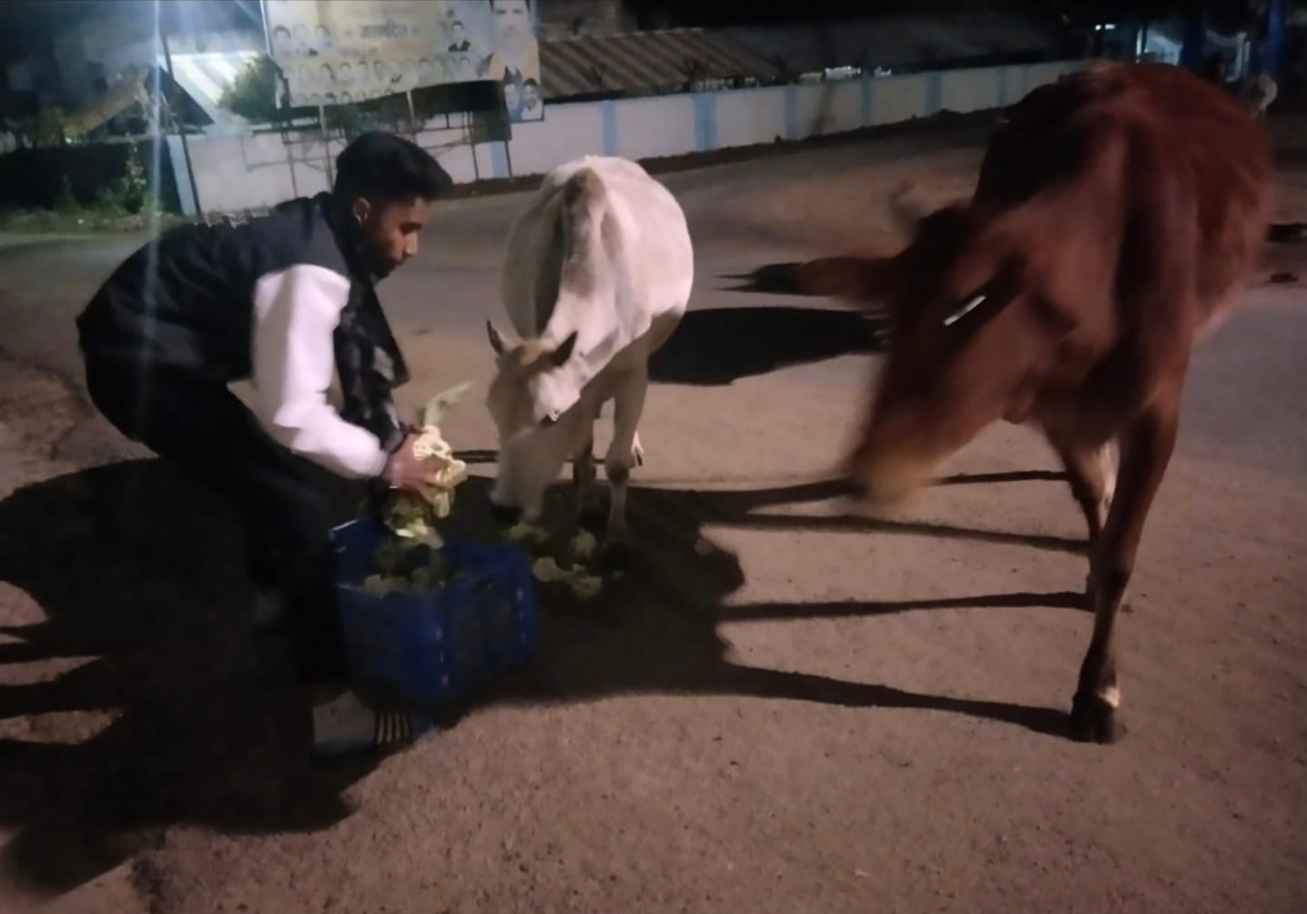 श्री श्याम गौ सेवा समिति