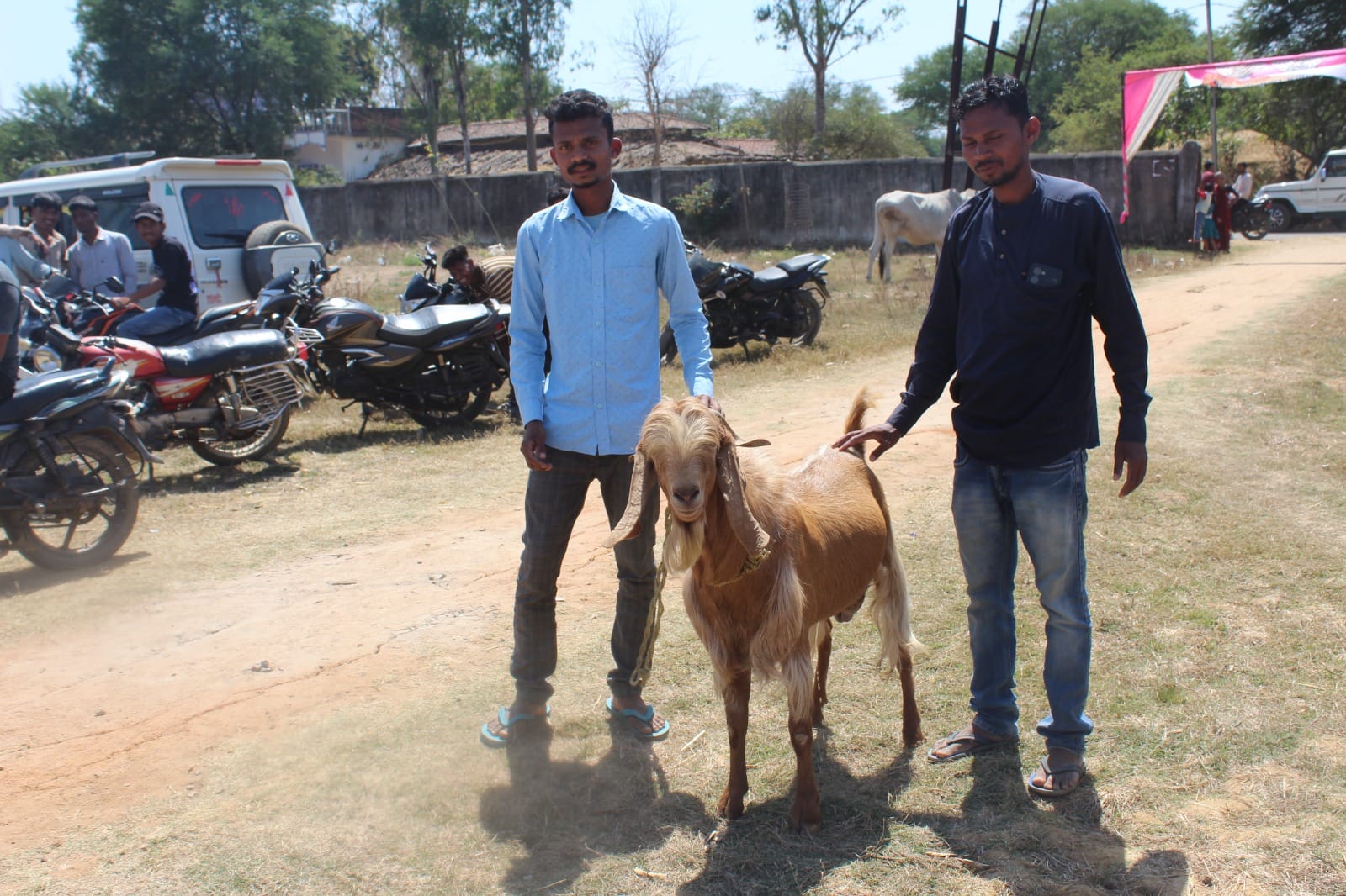 जिला स्तरीय पशु मेला का हुआ आयोजन