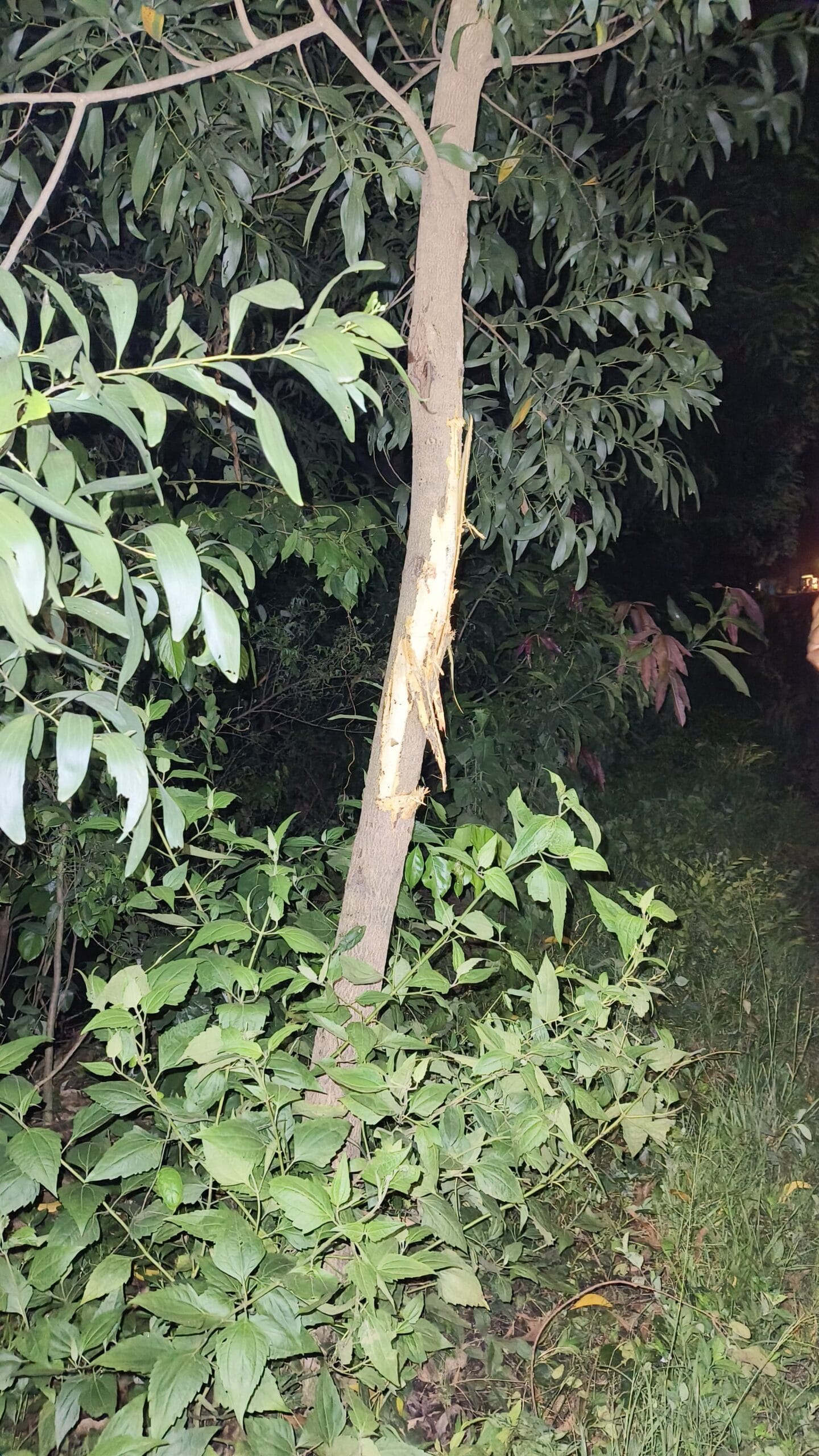 कल्याणपुर में एंबुलेंस हादसा: लापरवाही ने छीनी एक जान