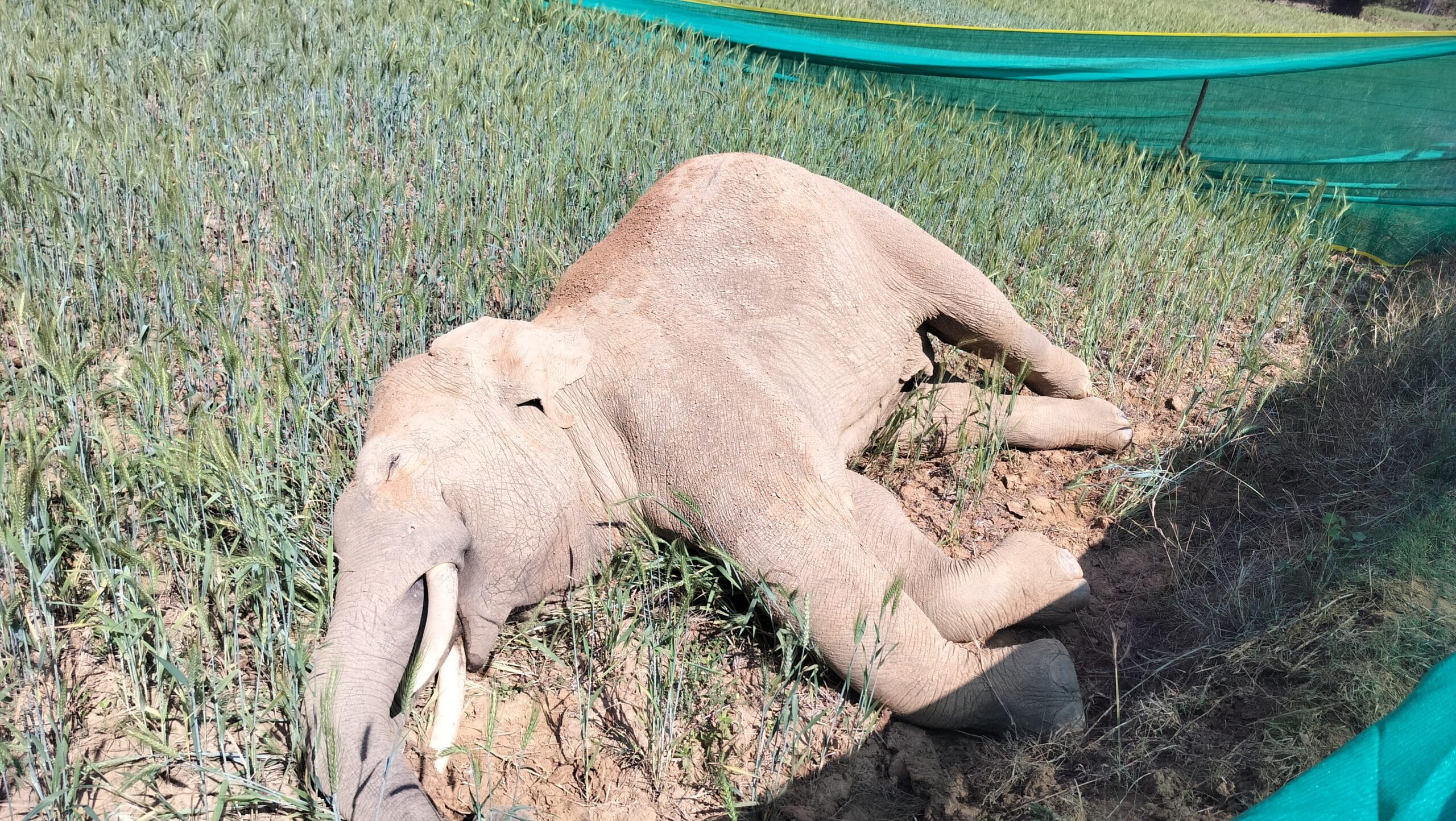 IMG20260313101149 scaled